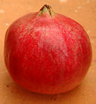 granada-pomegranite