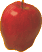 manzana-apple