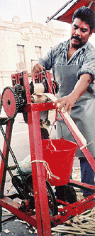 jugo de caa de azucar-sugar cane juice